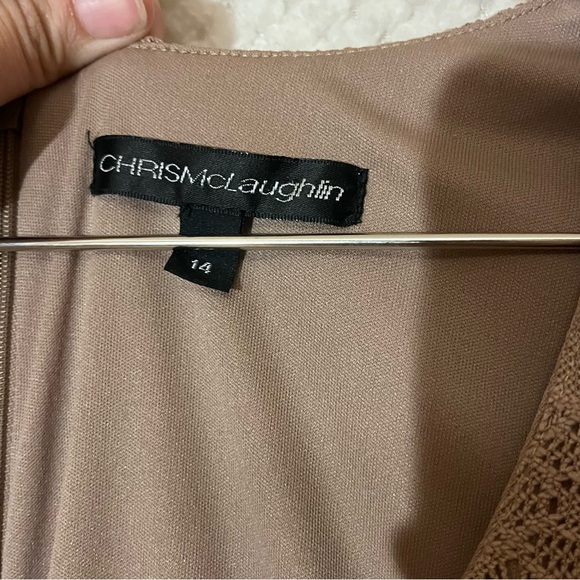 Womens Beige Taupe Lace Dress with Flounce Sleeves Elegant Size 14 - Picture 4 of 4